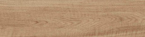PALIANO CAMEL P B1 TN17 F100N D 012